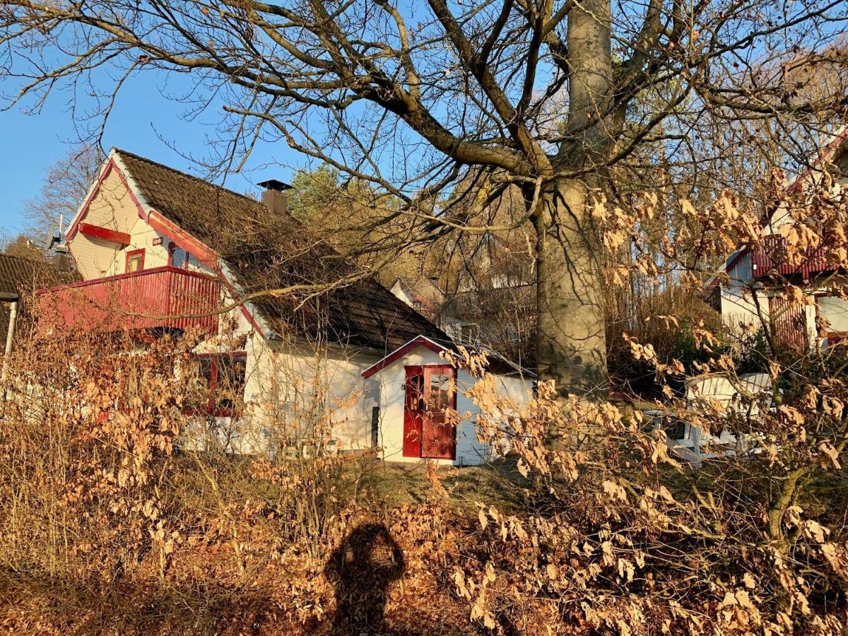 Idylle Seepark - Haus Mit Pool Und Fasssauna Kirchheim  Eksteriør billede