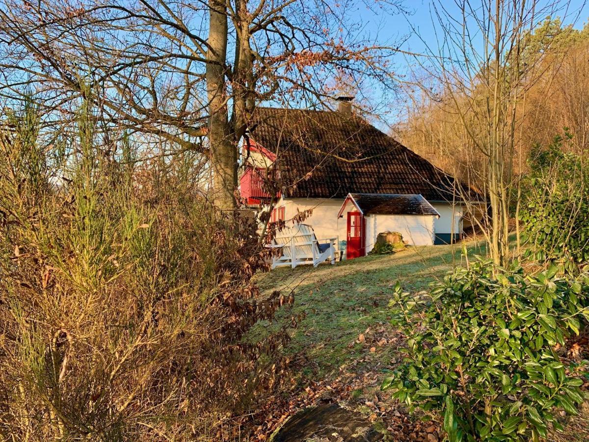 Idylle Seepark - Haus Mit Pool Und Fasssauna Kirchheim  Eksteriør billede